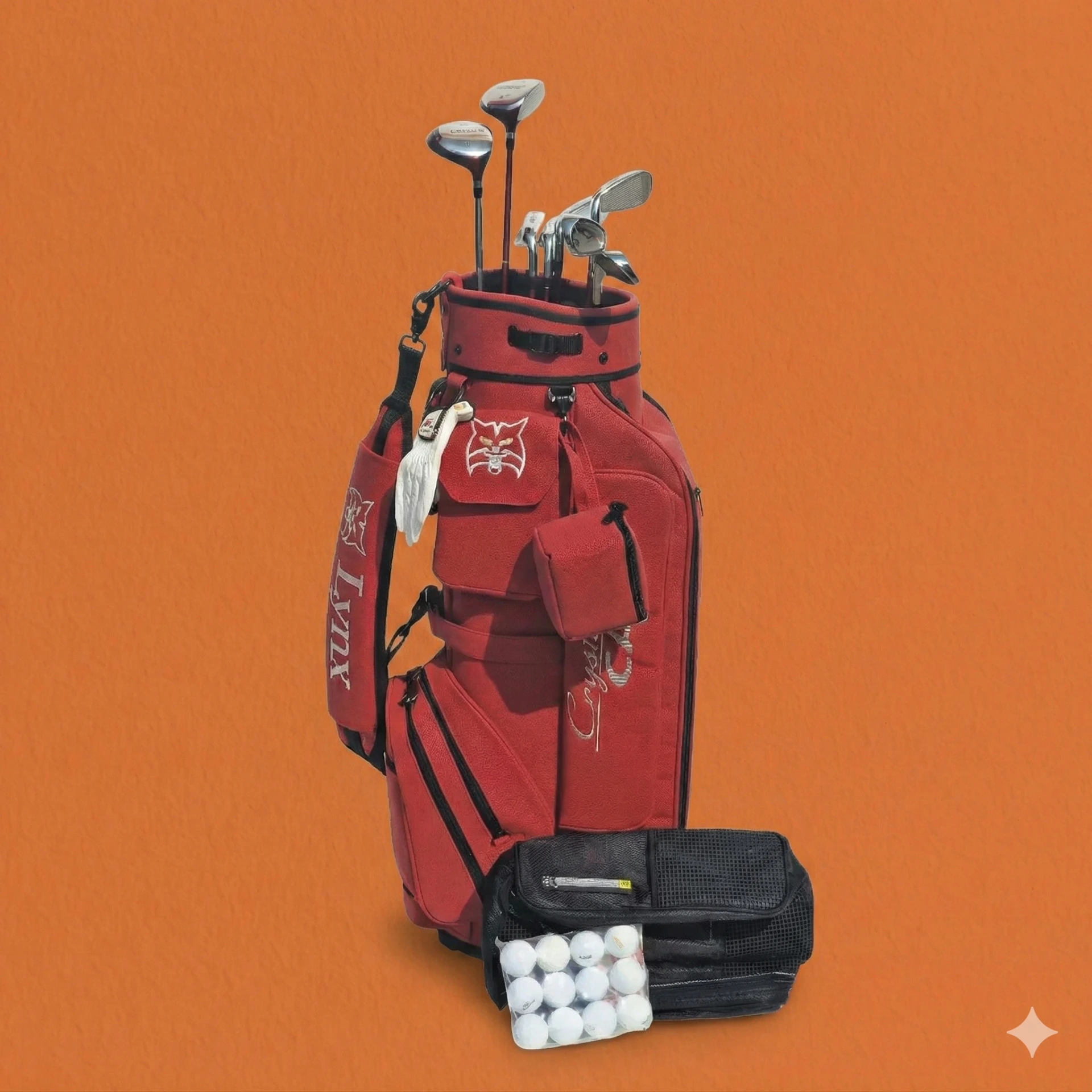 Birdie Offer Starter 13 Pieces Beginners set (Ladies & Mens) Masters Series